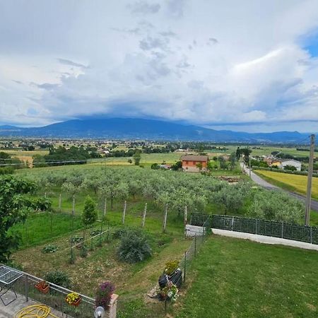 Delizioso Appartamento Collinare Limigiano Buitenkant foto
