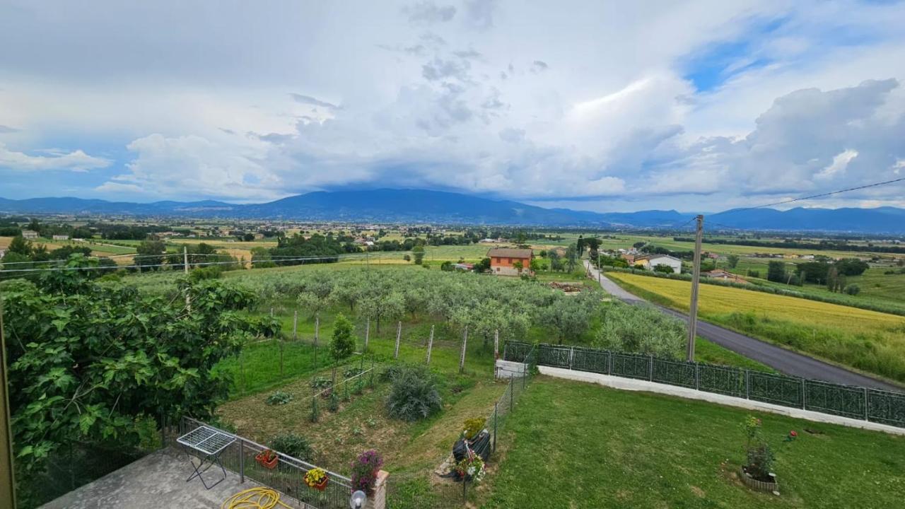 Delizioso Appartamento Collinare Limigiano Buitenkant foto